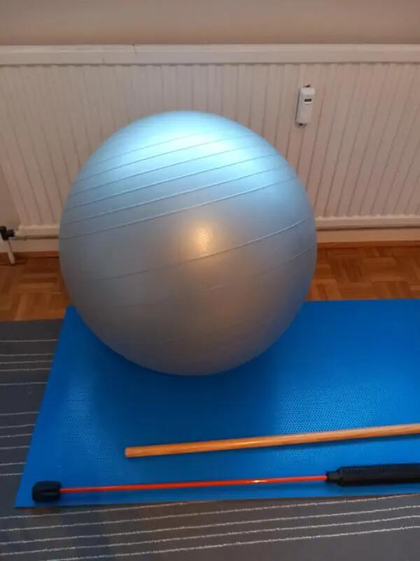Entre Particuliers - Swiss ball pour kiné/gym 1/2