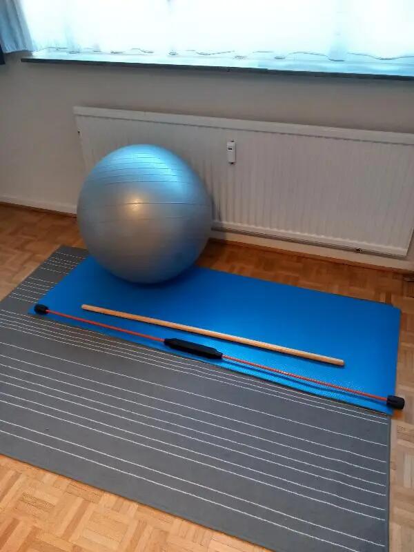 Entre Particuliers - Swiss ball pour kiné/gym 2/2
