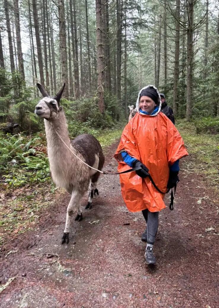 Notfallponcho 4er Pack mit Rettungsdecke, Regenponcho, wasserdicht, wendbar 10/14