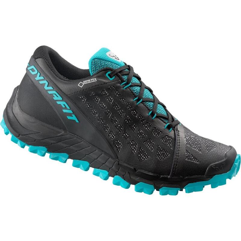 Women's Trail Running Shoes Trailbreaker Evo Gtx