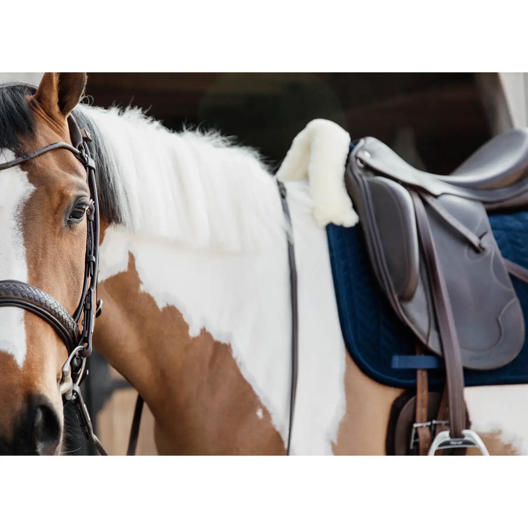 Manta de doma para caballos Kentucky Skin Friendly velvet 7/7