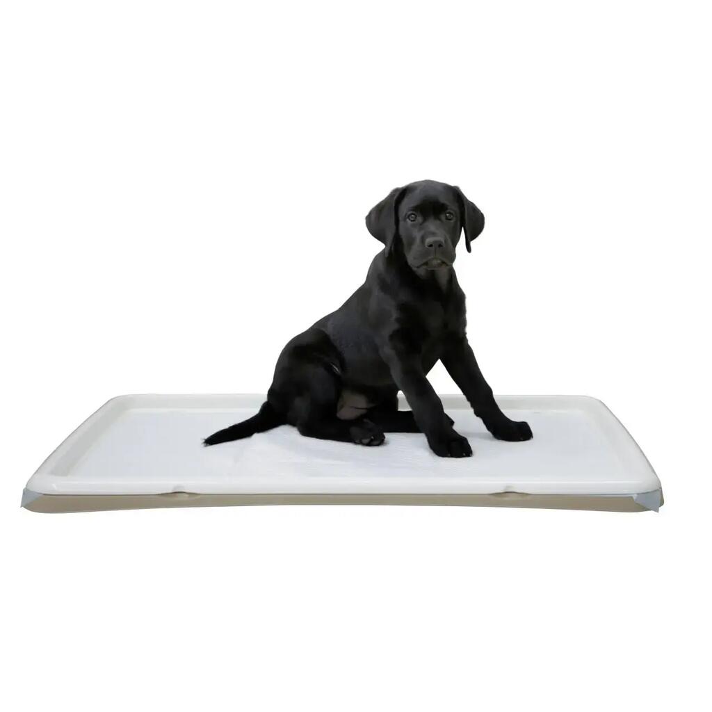 Puppy Toilet Kerbl