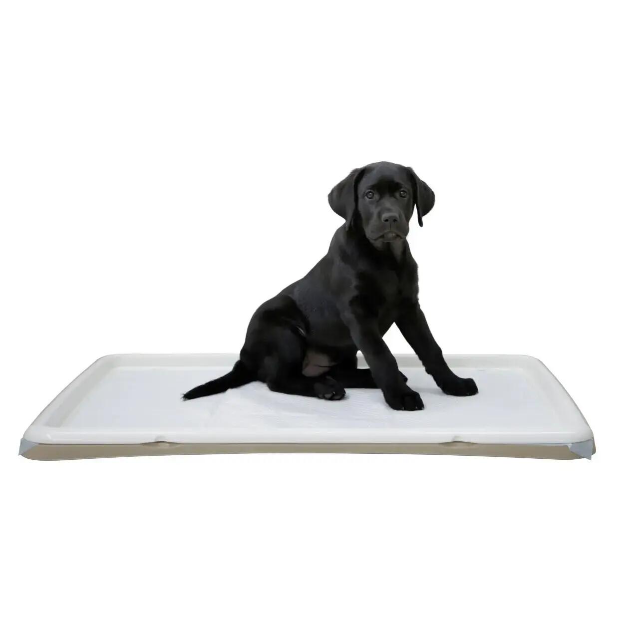 Toilettes pour chiots Kerbl 1/2