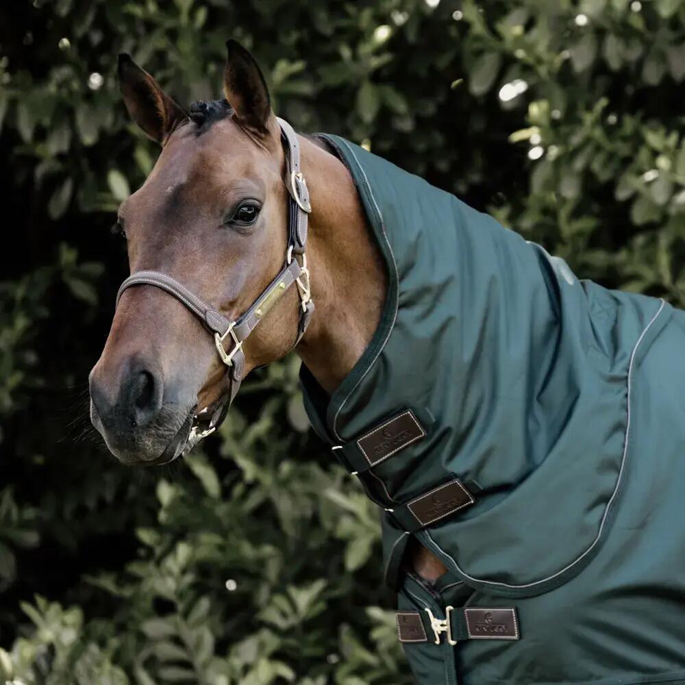 Coperta impermeabile per cavalli Kentucky All Weather Pro 150 g 2/3