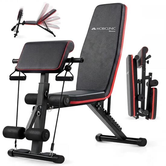 Banc de musculation Avec pupitre à biceps Pliable Réglable Max. 120kg Pliant