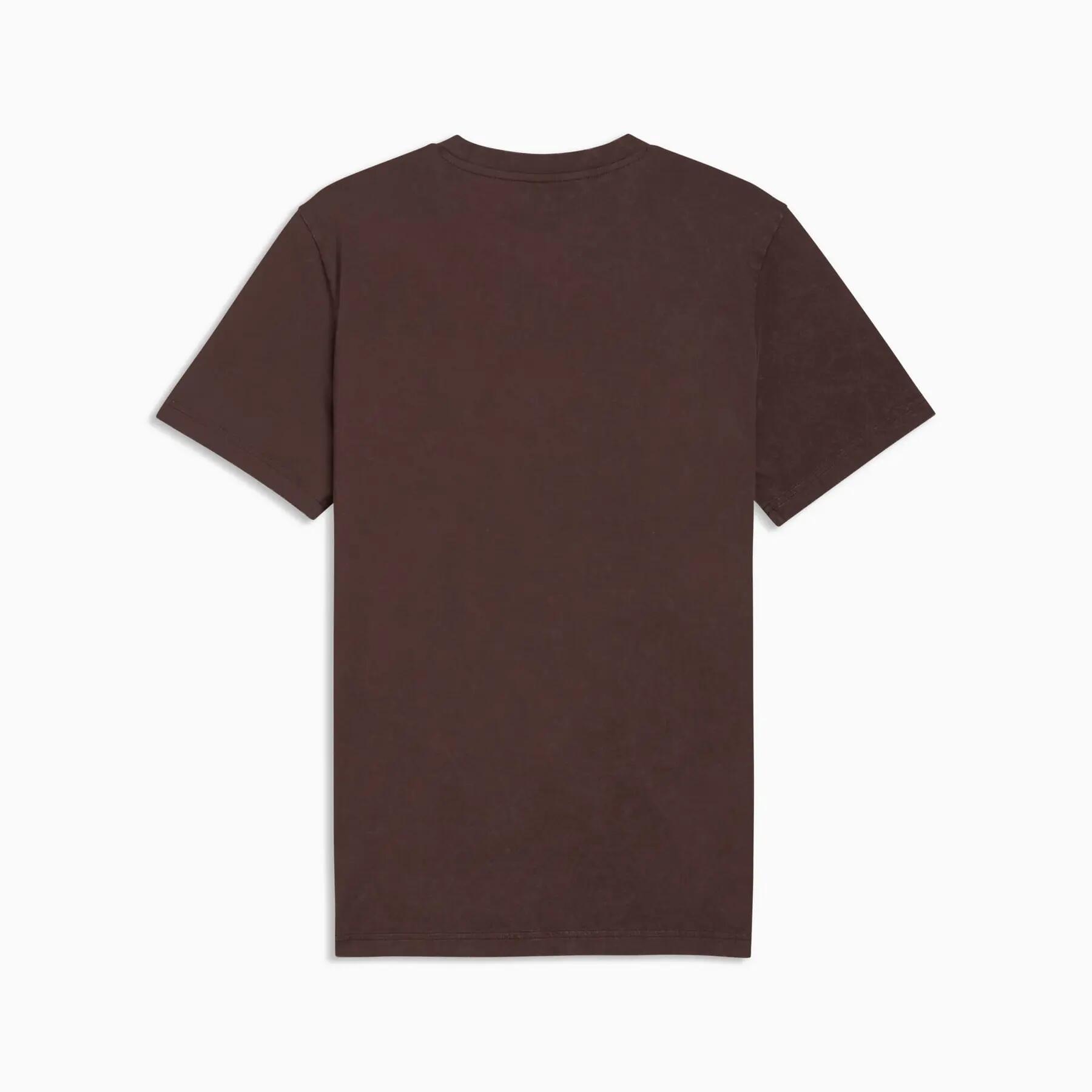 Puma GRAPHIC RETRO AMERICANA WASHED T-shirt voor heren, bruin, maat S 2/5