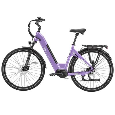 C7SE Bici elettrica 28" 36V 250W 75Nm 150km 9 velocità