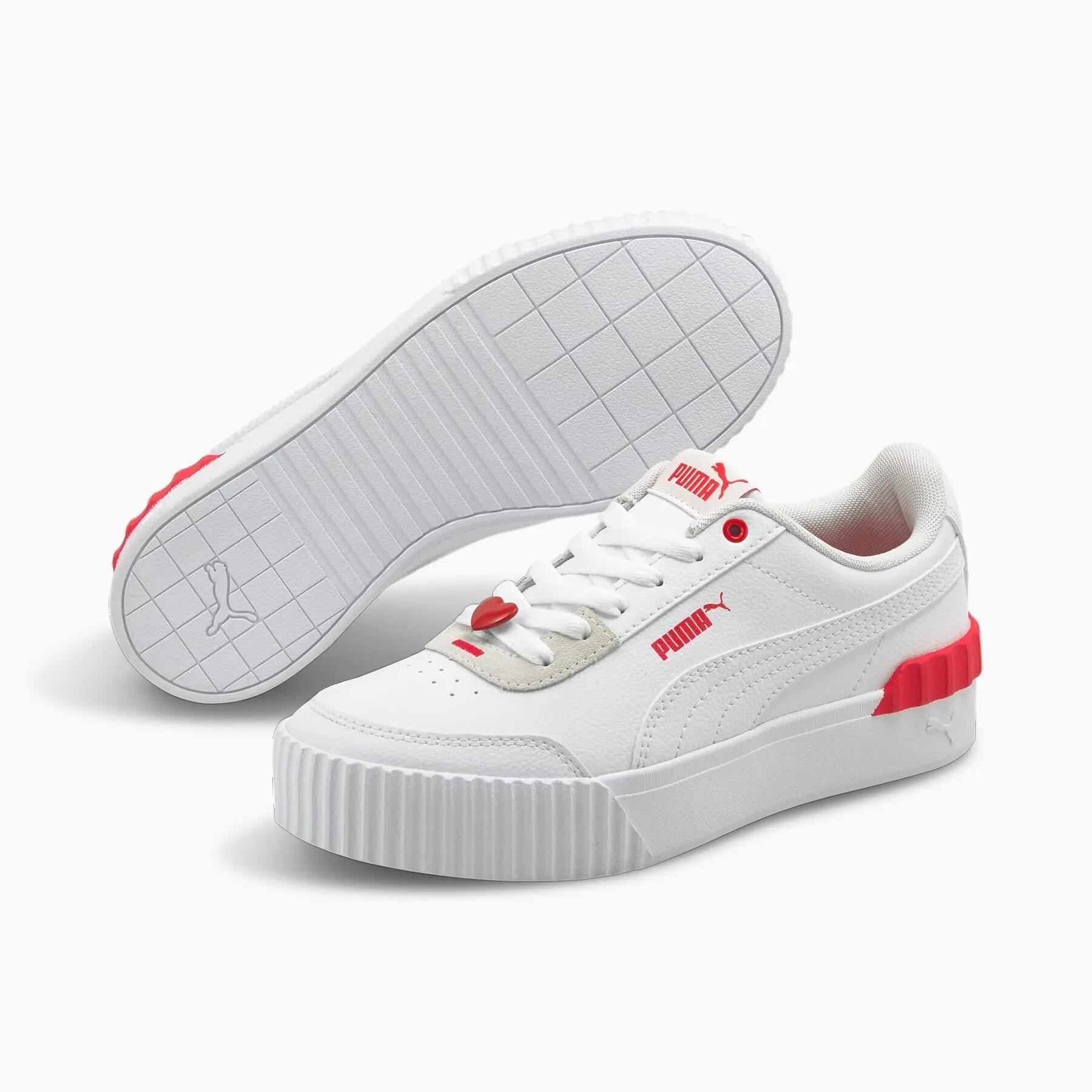 PUMA picture