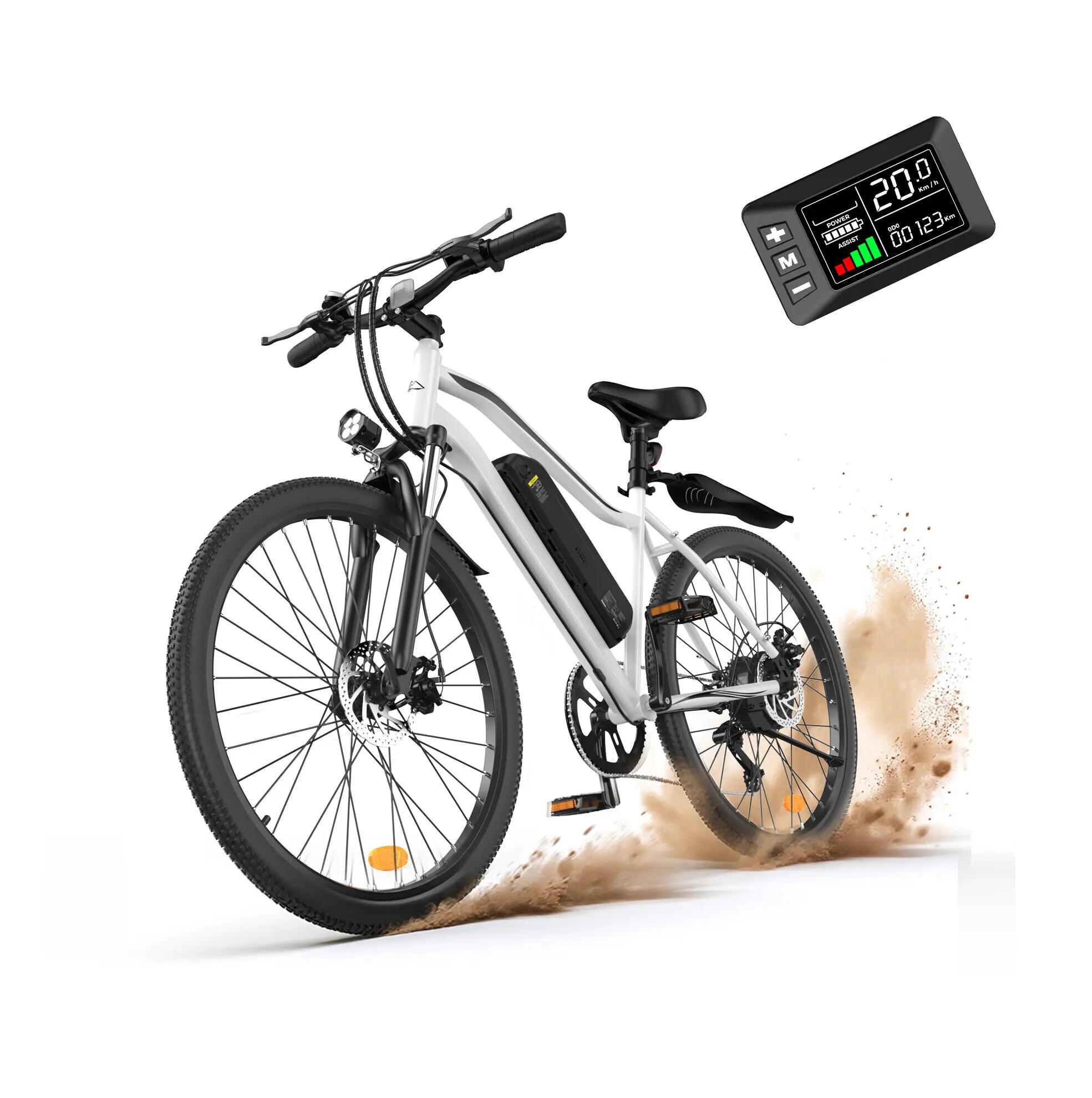 City bike elettrica iScooter EB3S 350W 540Wh 26 pollici 2/10
