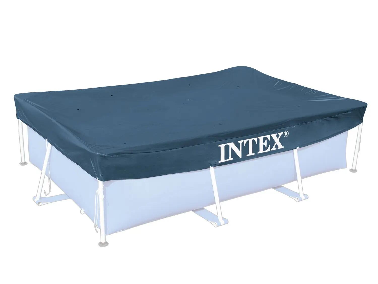 INTEX picture
