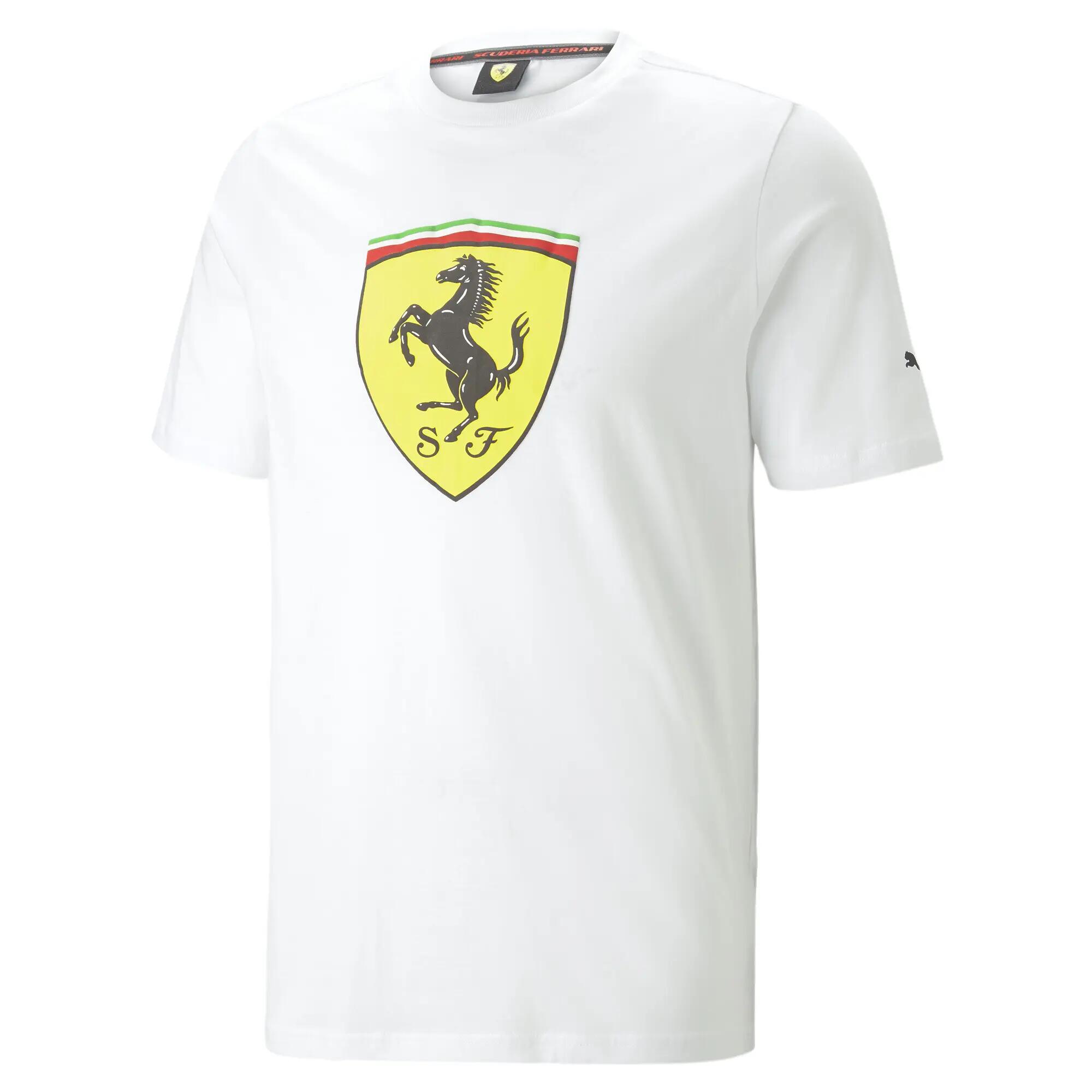 PUMA picture