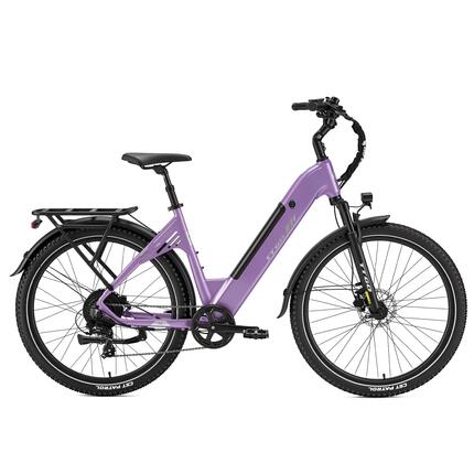Elektrische stadsfiets voor volwassenen TTGO C5 250W motor 48V 13.5Ah accu