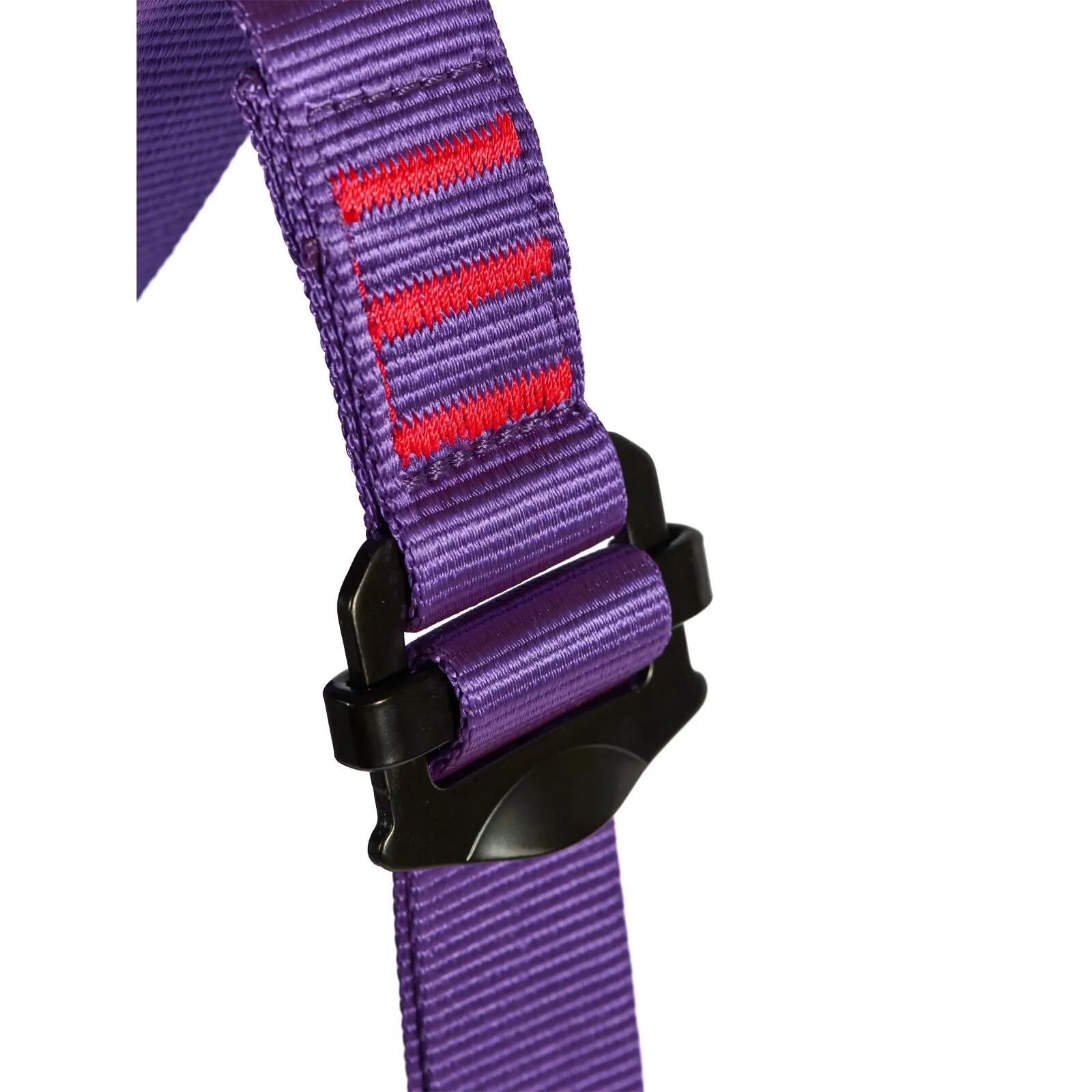 Komplettgurt Bambi II purple 4/5