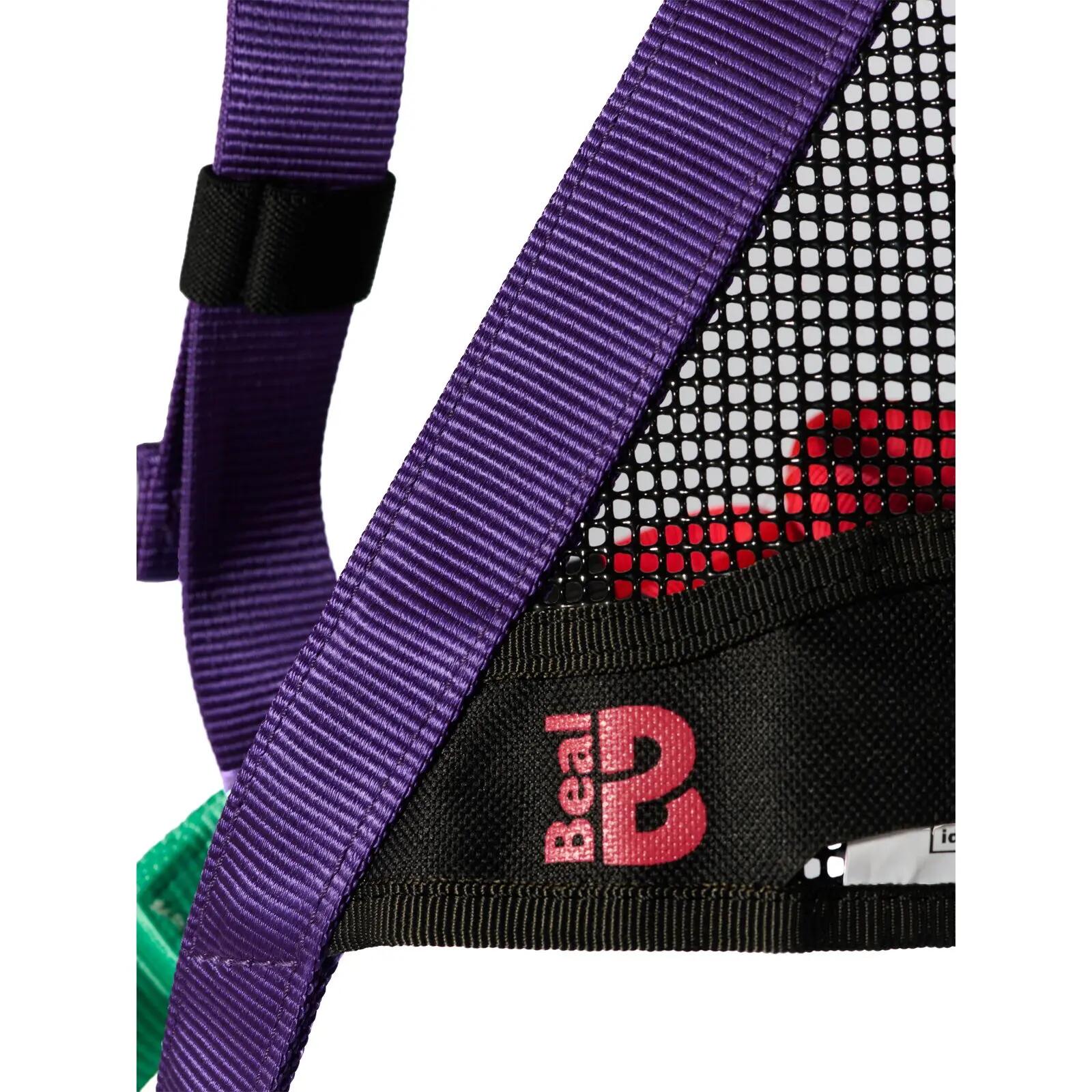 Komplettgurt Bambi II purple 3/5
