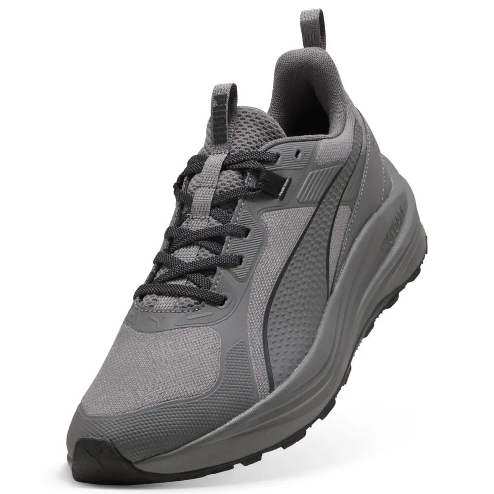 PUMA picture