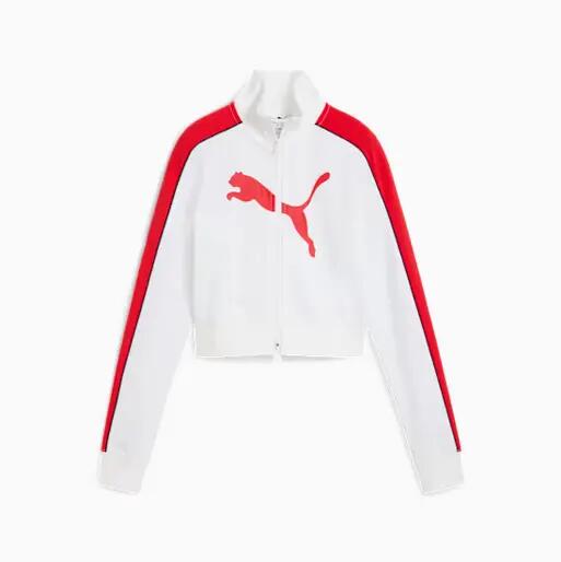 PUMA picture