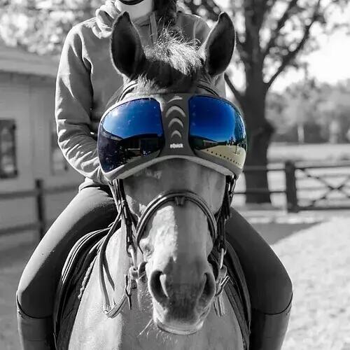 EQUICK picture