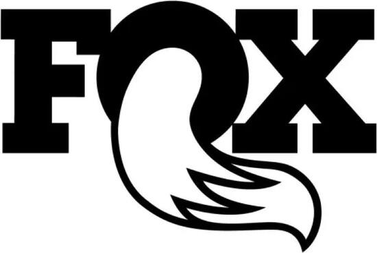 Kit Protection Fourche RAD x Monkey's pour Fox 38 année 2024