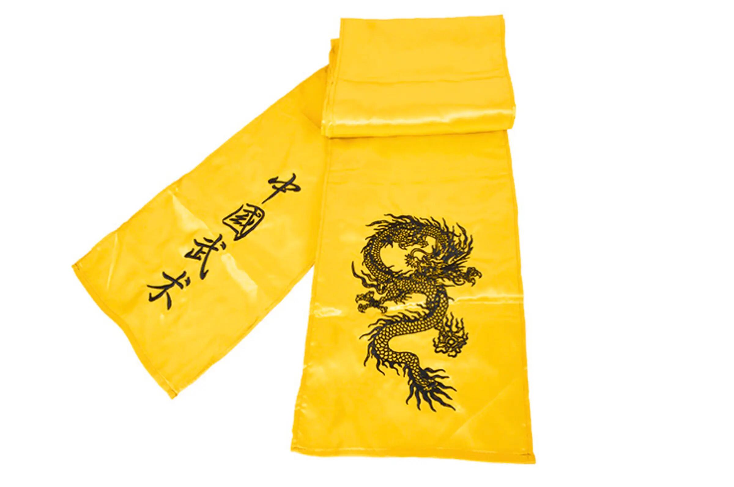 SHENLONG picture