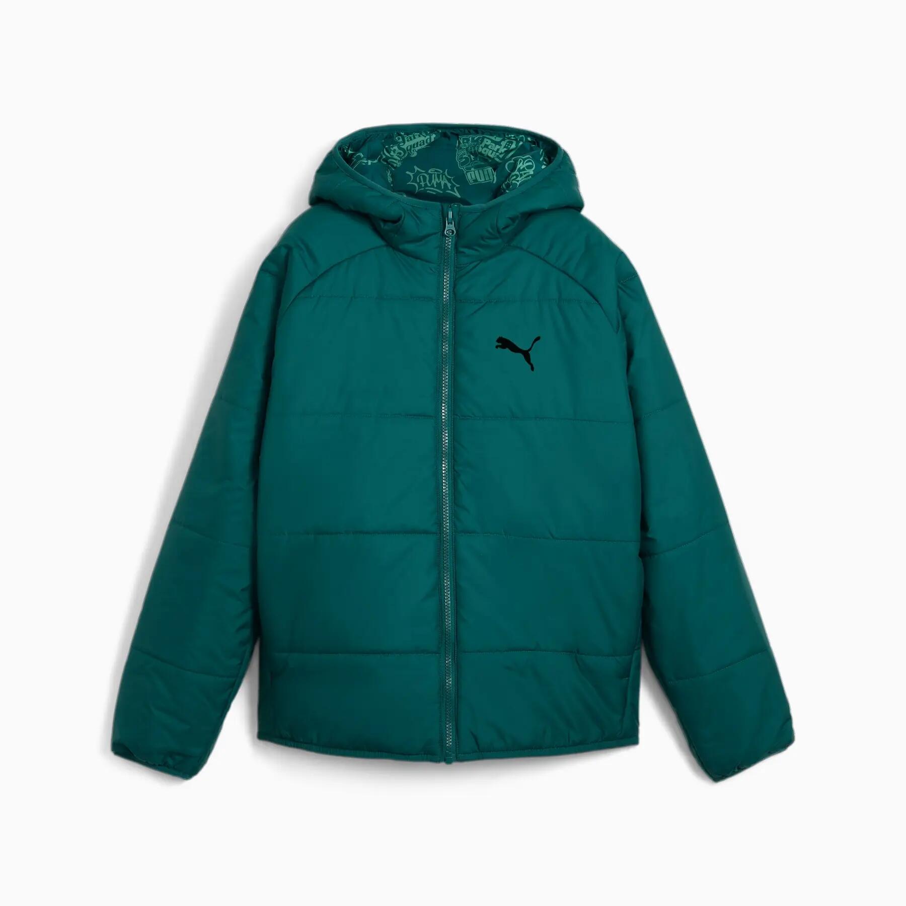 PUMA picture