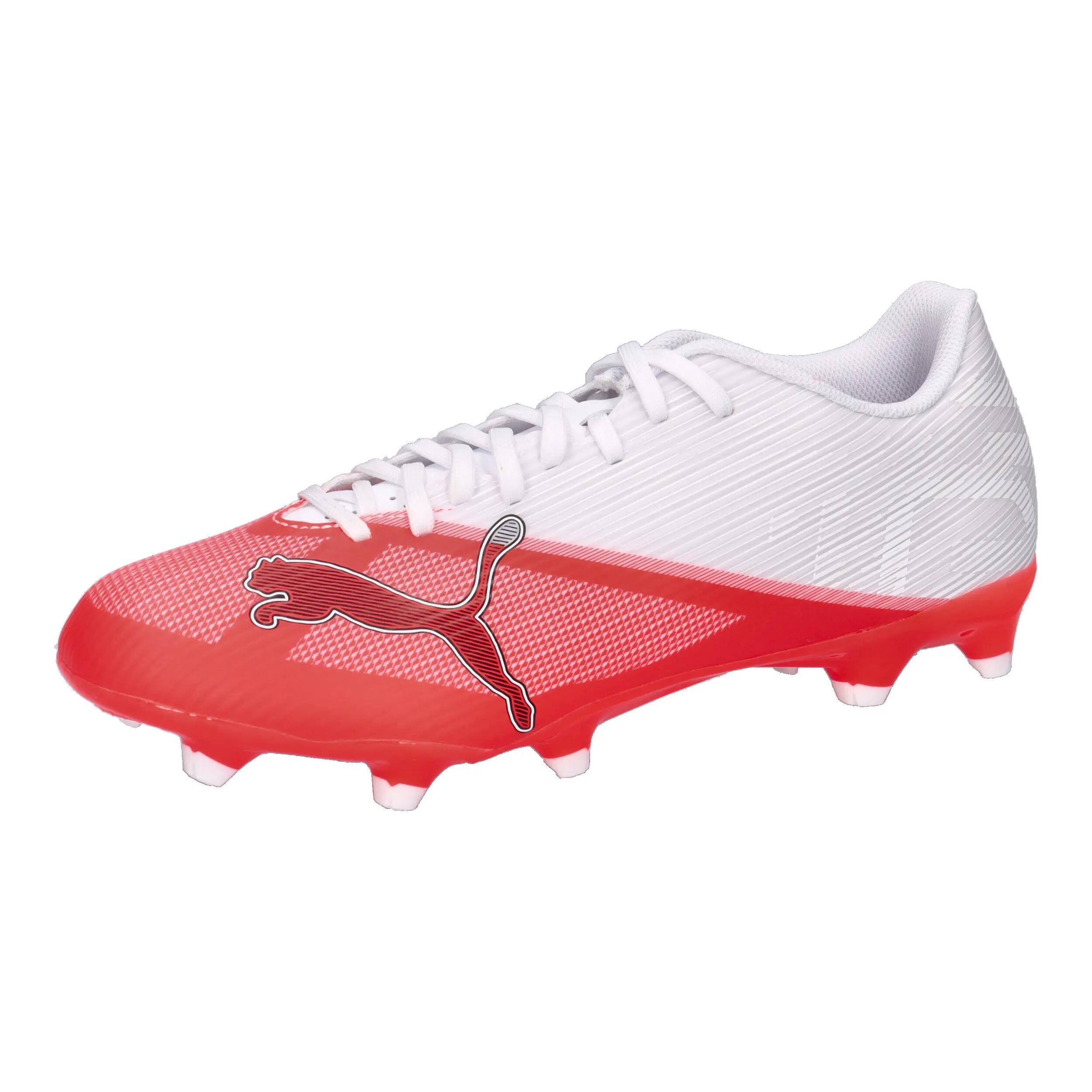 PUMA picture