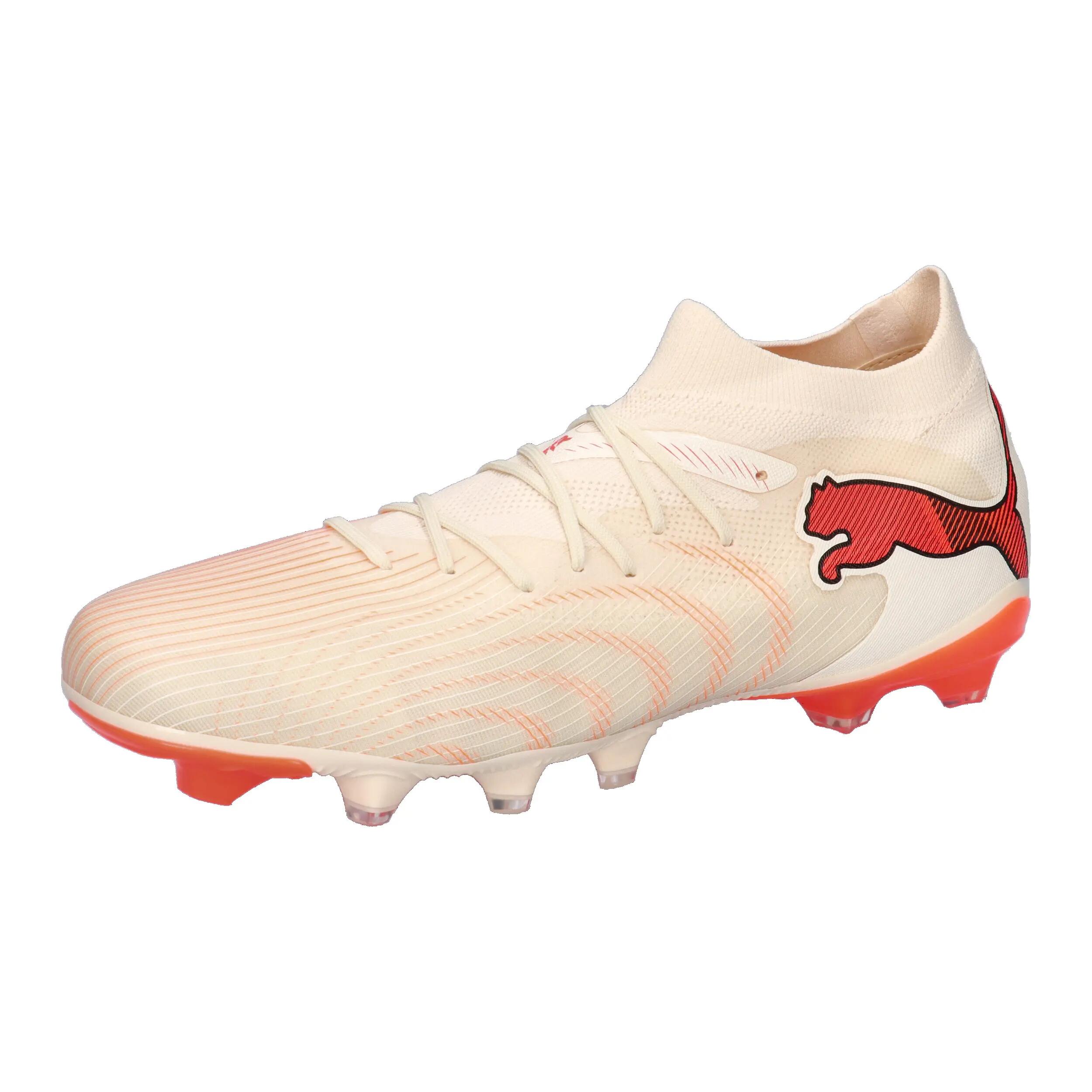 PUMA picture
