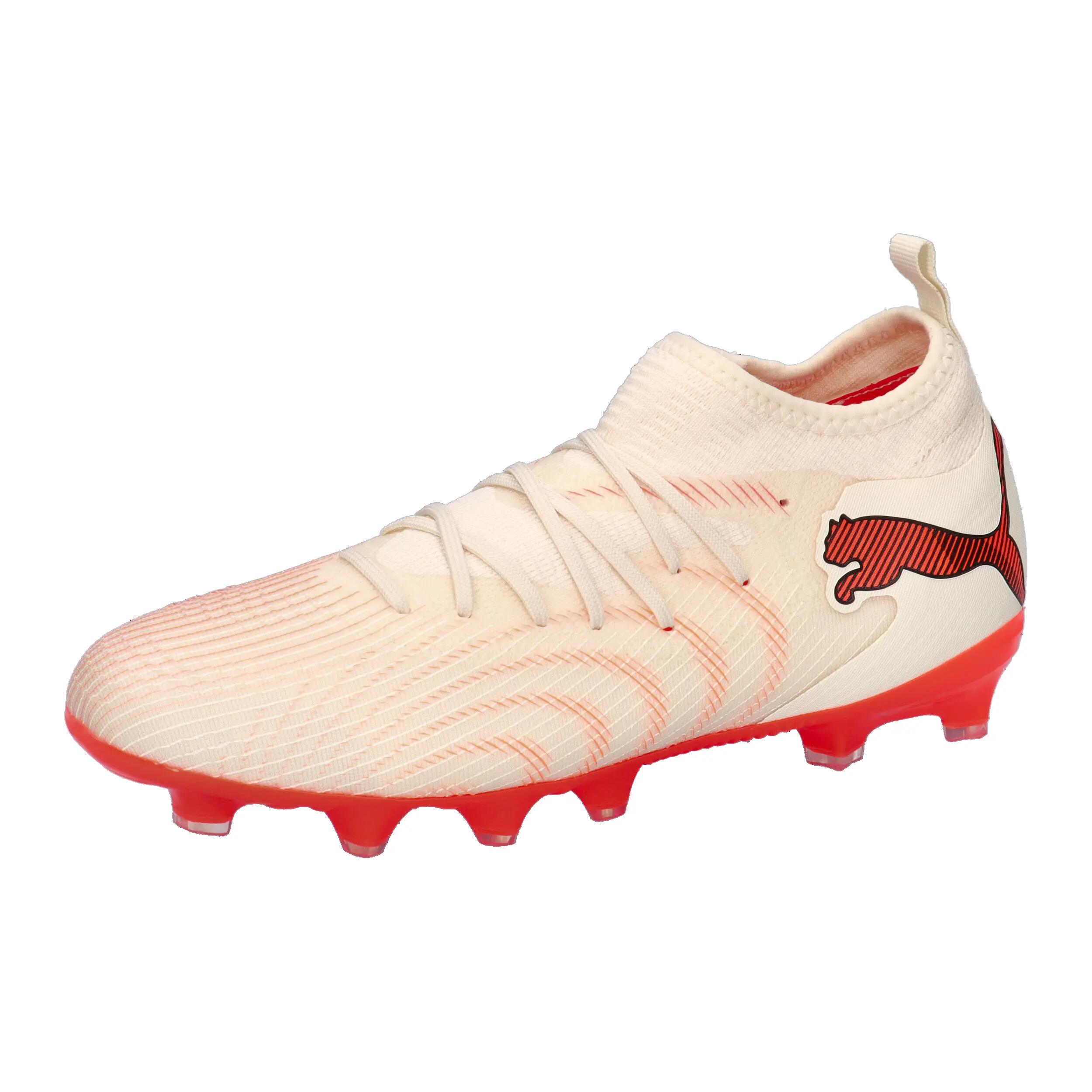 PUMA picture
