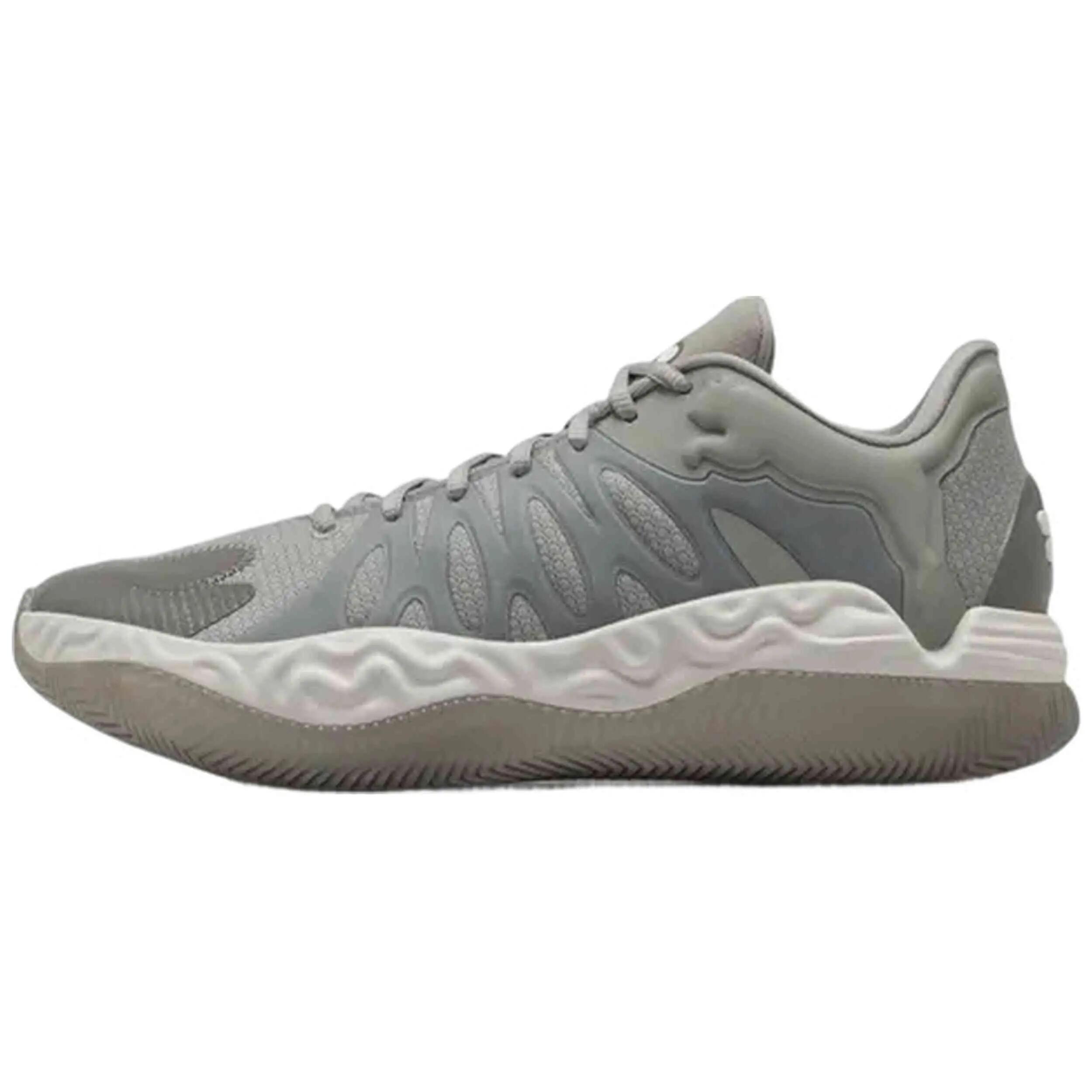 PUMA picture