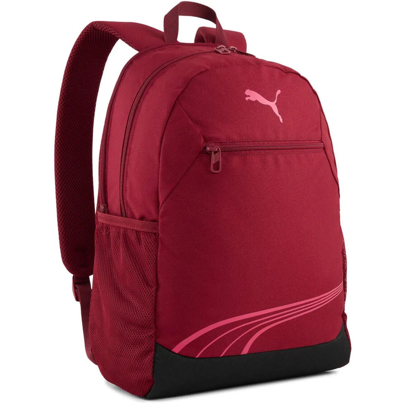 PUMA picture