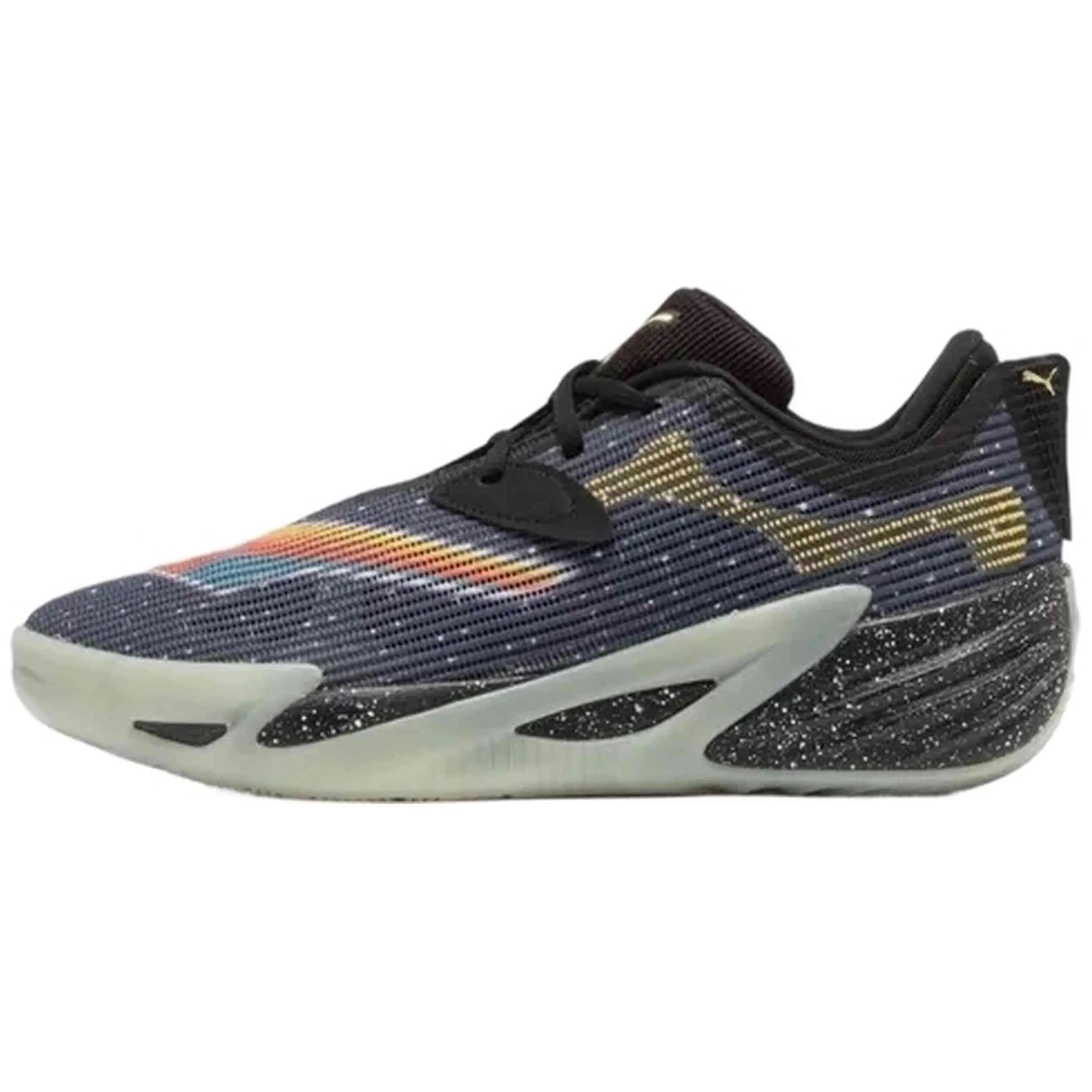 PUMA picture