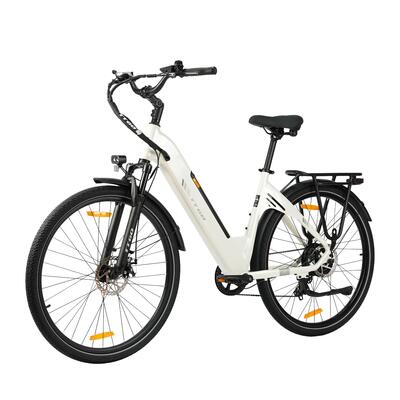 Elektrische fiets voor volwassenen ttgo c3se batterij 36v18ah motor 250w