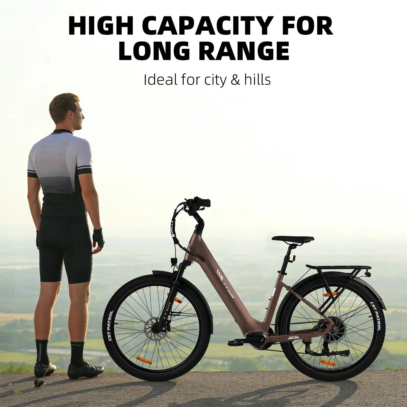 Elektrische fiets voor volwassenen TTGO Z3 batterij 48V 15Ah banden 27,5 inch 11/15