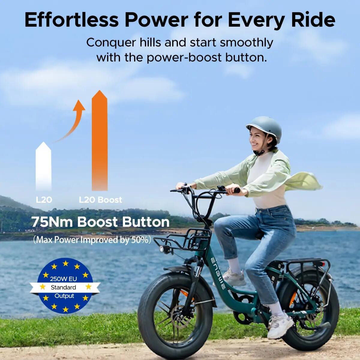 Opvouwbare elektrische fiets voor volwassenen ENGWE L20 BOOST 250W 20"Dikke band 5/7