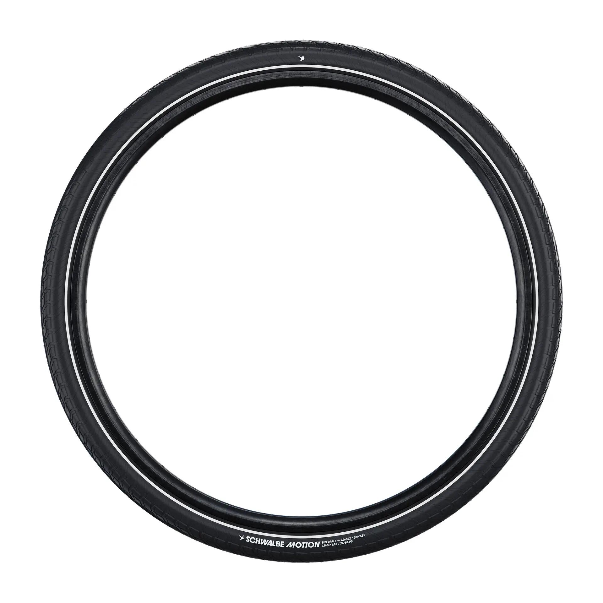 SCHWALBE picture