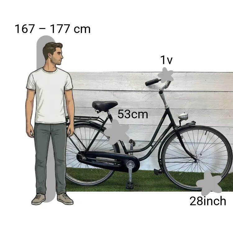 Vélo d’occasion Gazelle Impala 2/4