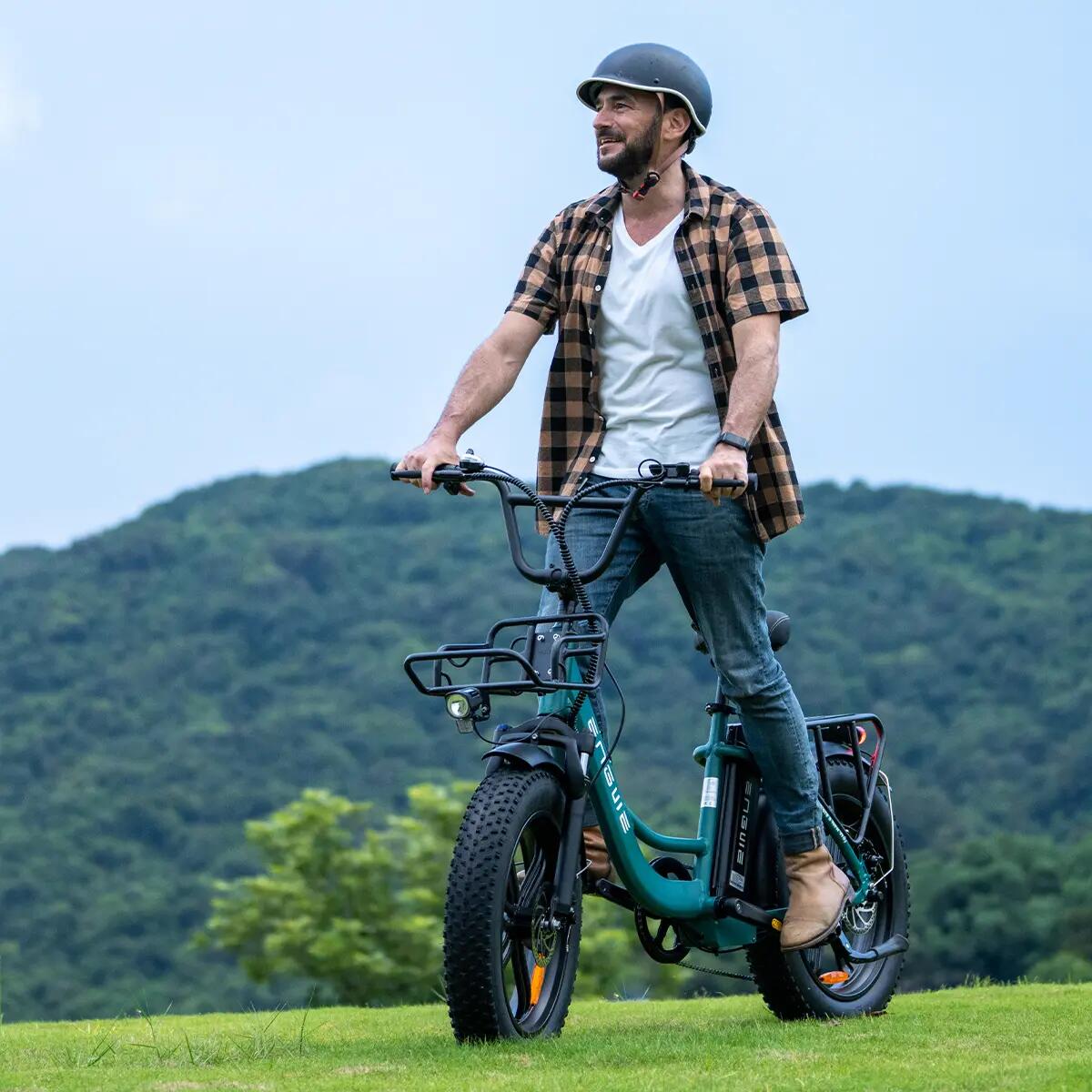 Opvouwbare elektrische fiets voor volwassenen ENGWE L20 BOOST 250W 20"Dikke band 7/7