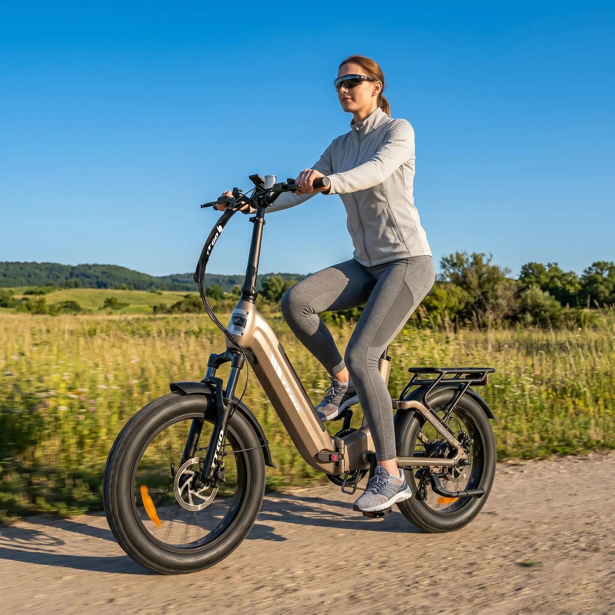 Bicicletta elettrica per adulti F7,pneumatici 20" x 3,0", batteria 48V 15Ah,250W 7/10