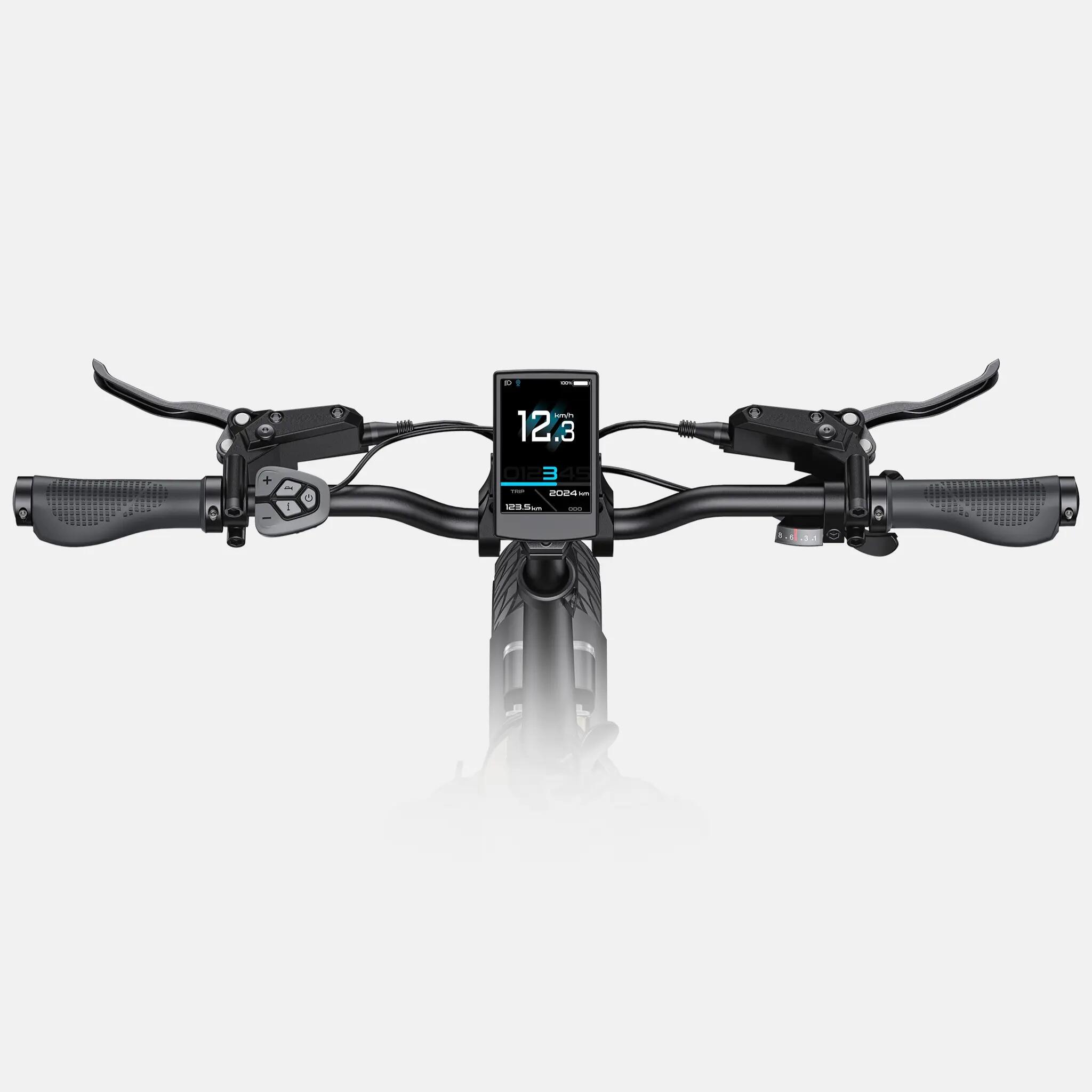 adulto Bici eléctrica  ENGWE L20 3.0 PRO 250W 48V15AH 20"Neumático gruesos 4/7