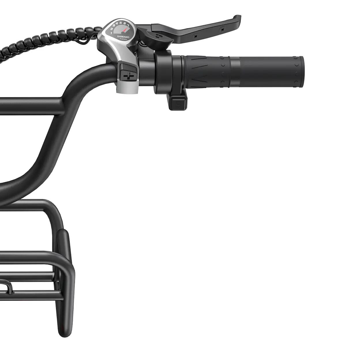 Opvouwbare elektrische fiets voor volwassenen ENGWE L20 BOOST 250W 20"Dikke band 3/7