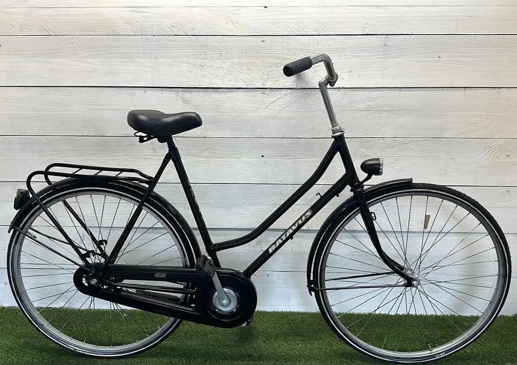 BATAVUS picture