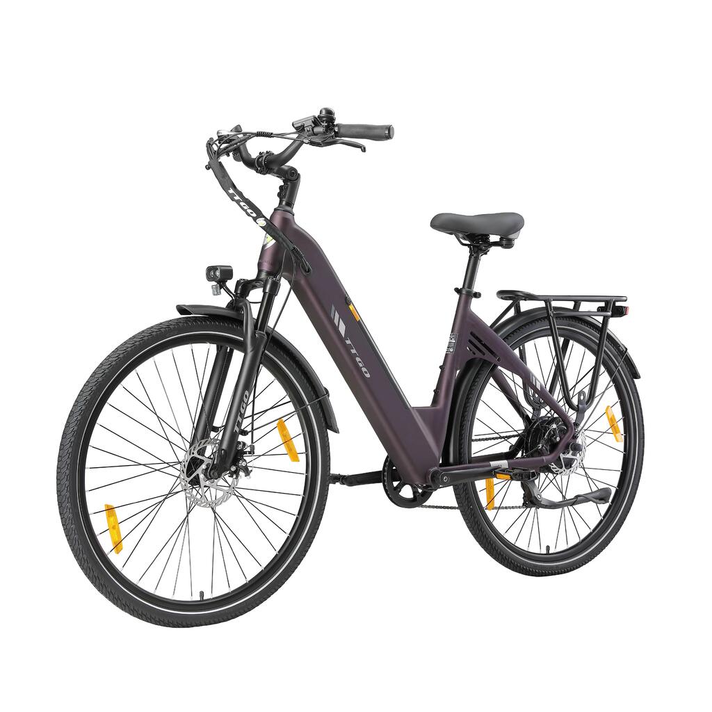Electric Bike For Adult TTGO C3SE 36V18Ah Battery 250W motor
