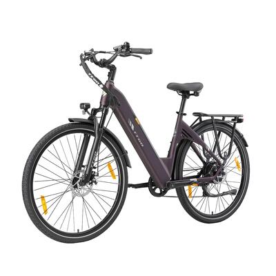 Elektrische fiets voor volwassenen ttgo c3se batterij 36v18ah motor 250w