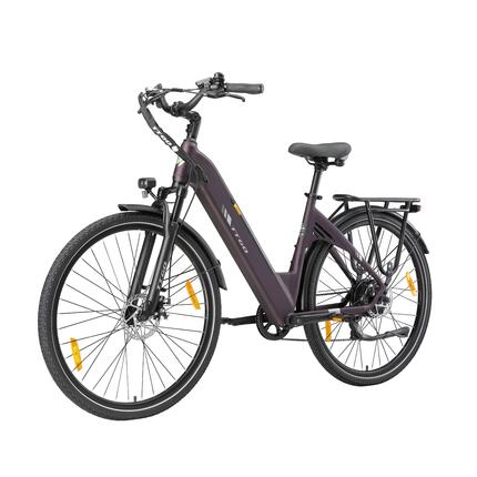 Vélo électrique pour adultes TTGO C3SE Batterie 36V18Ah Moteur 250W