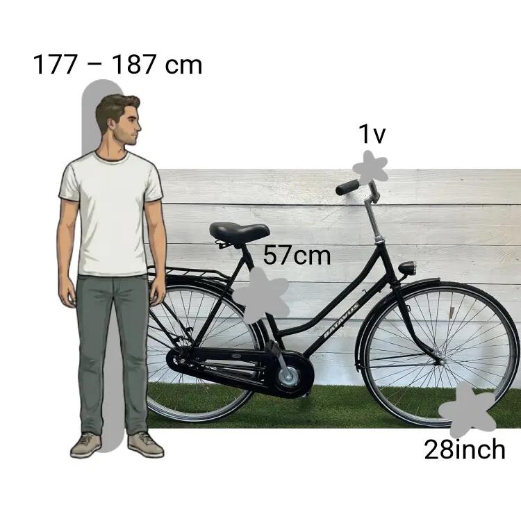Bicicleta usada Batavus 2/4