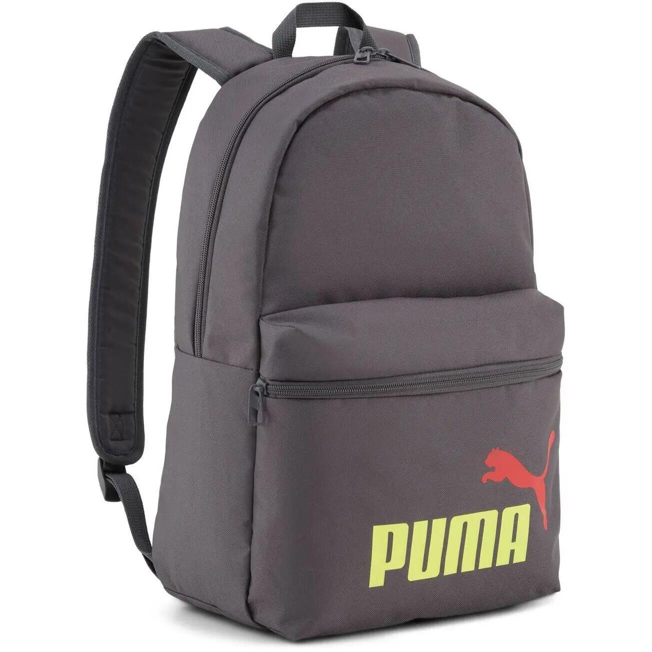 PUMA picture