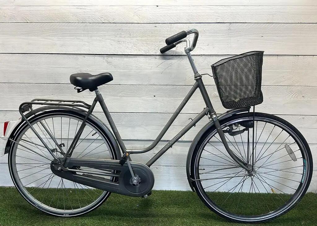 BATAVUS picture