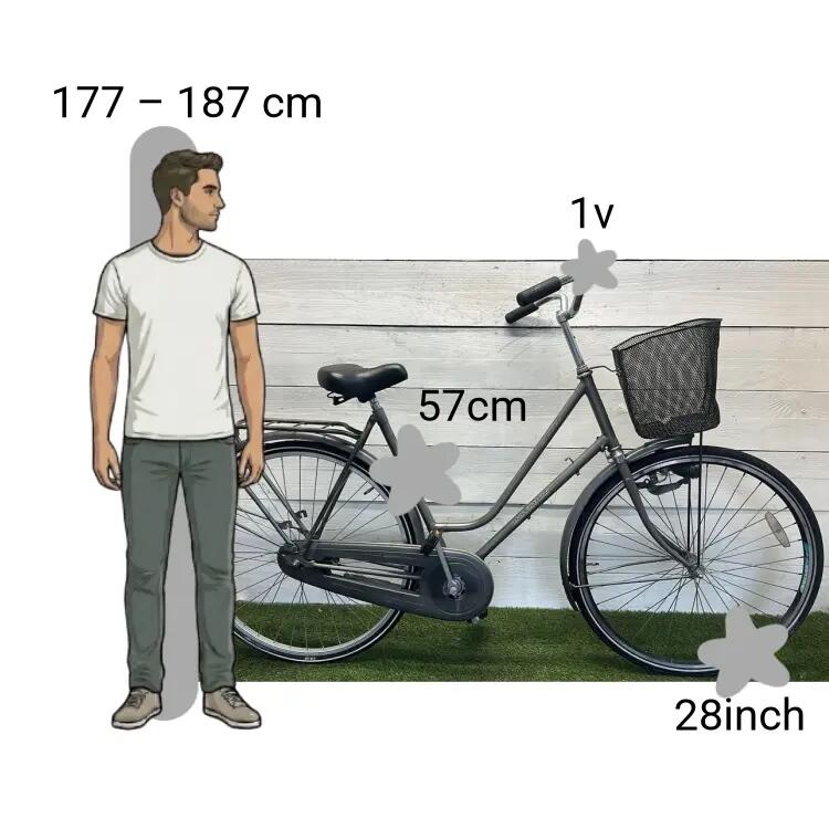Bicicleta usada Batavus Winner 2/4