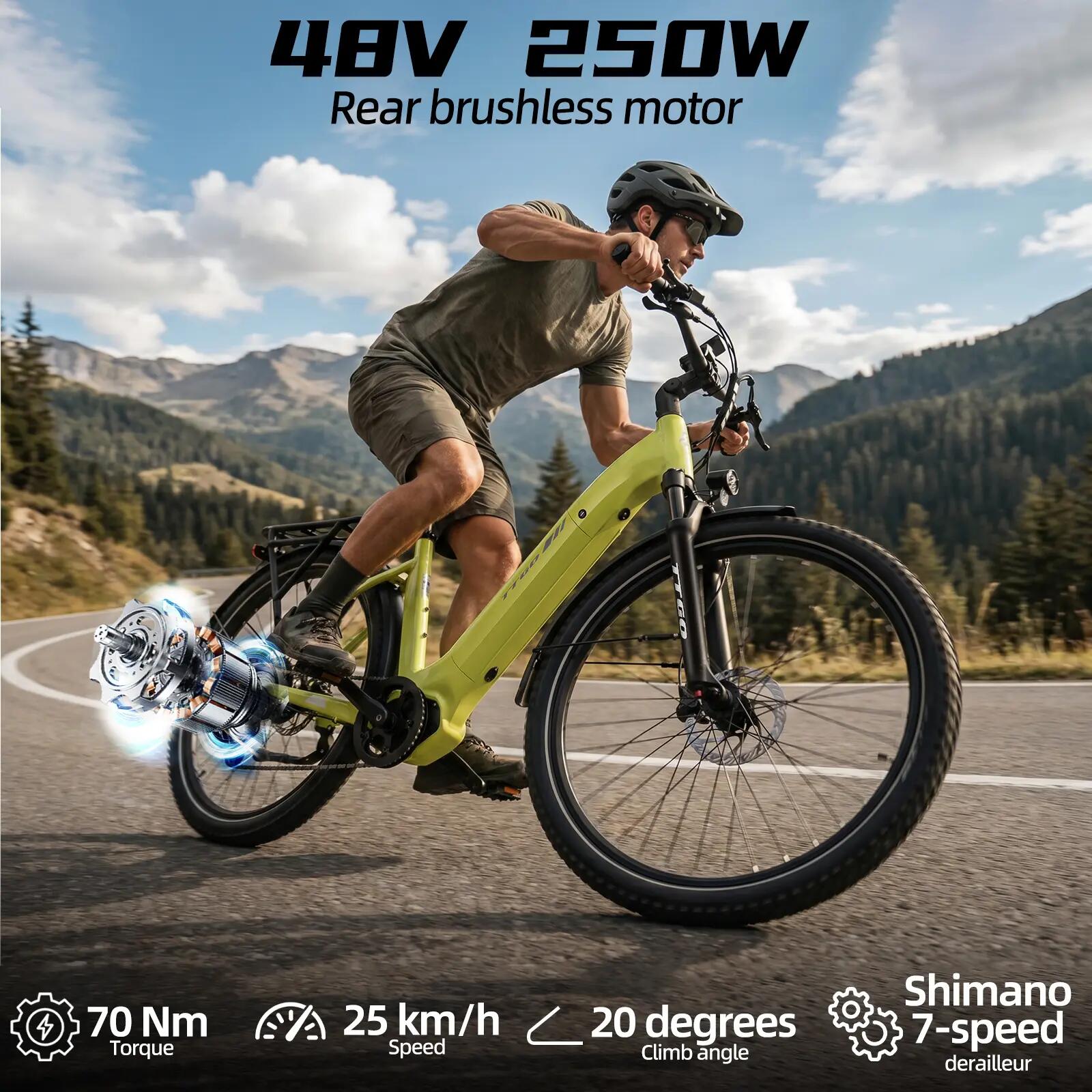 Elektrische fiets voor volwassenen TTGO Z3 batterij 48V 15Ah banden 27,5 inch 9/14