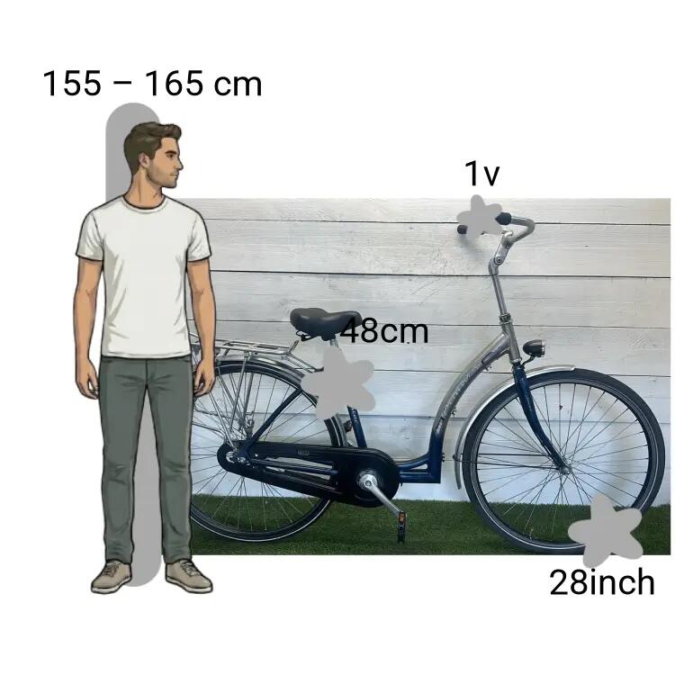Vélo d’occasion Pointer Extra Lage Instap 2/4
