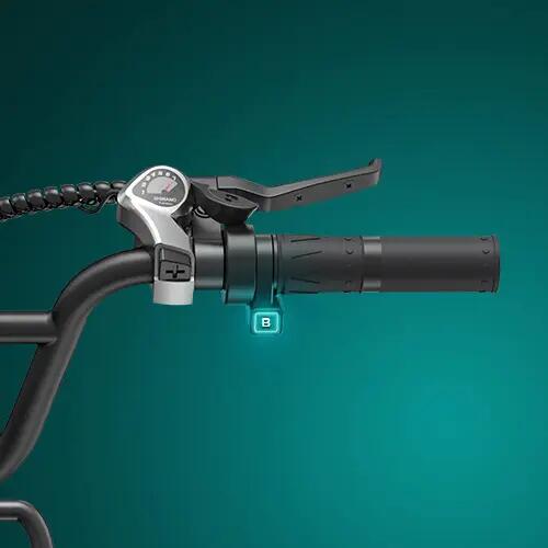 Bicicleta eléctrica ENGWE L20 Boost con cuadro bajo y neumáticos anchos 12/15